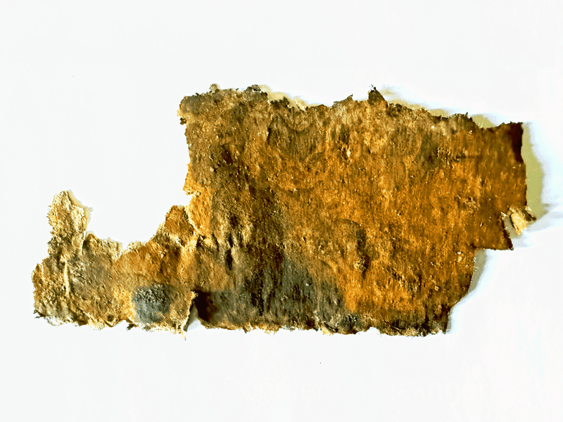 Fragment einer dekorierten Papiertapete