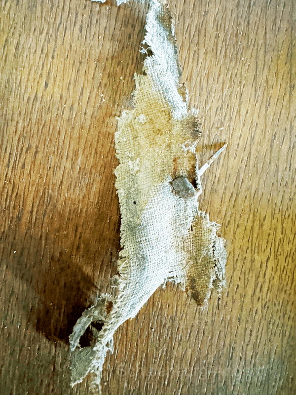 Tapetenfund Schloss Angern